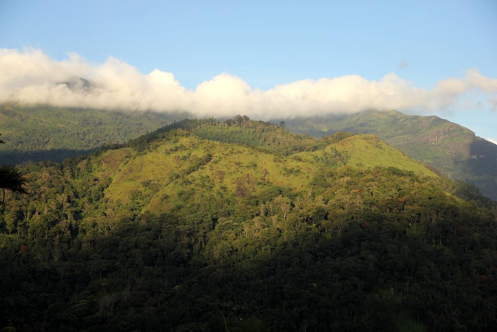 Hotel Ecotones Munnar By Eden Environs Exteriér fotografie