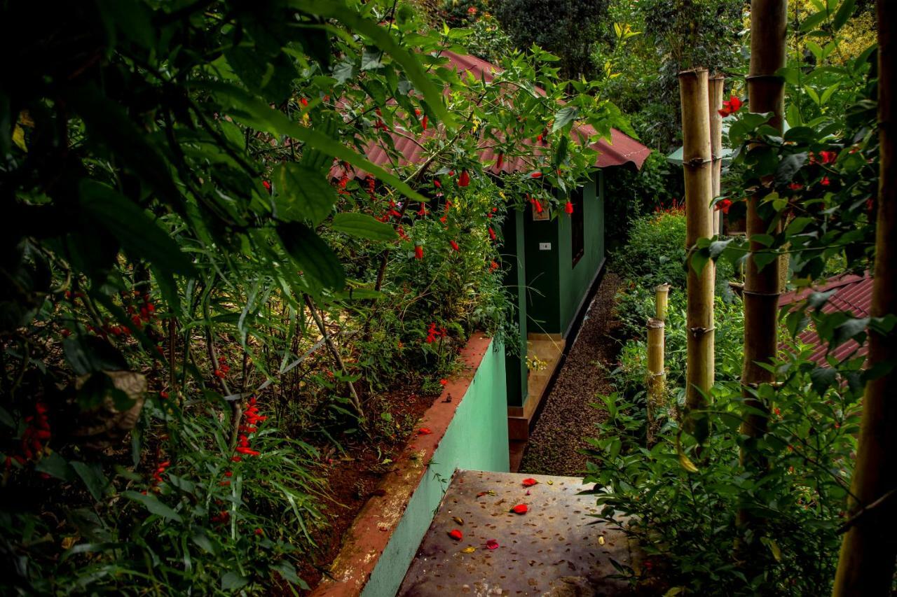 Hotel Ecotones Munnar By Eden Environs Exteriér fotografie