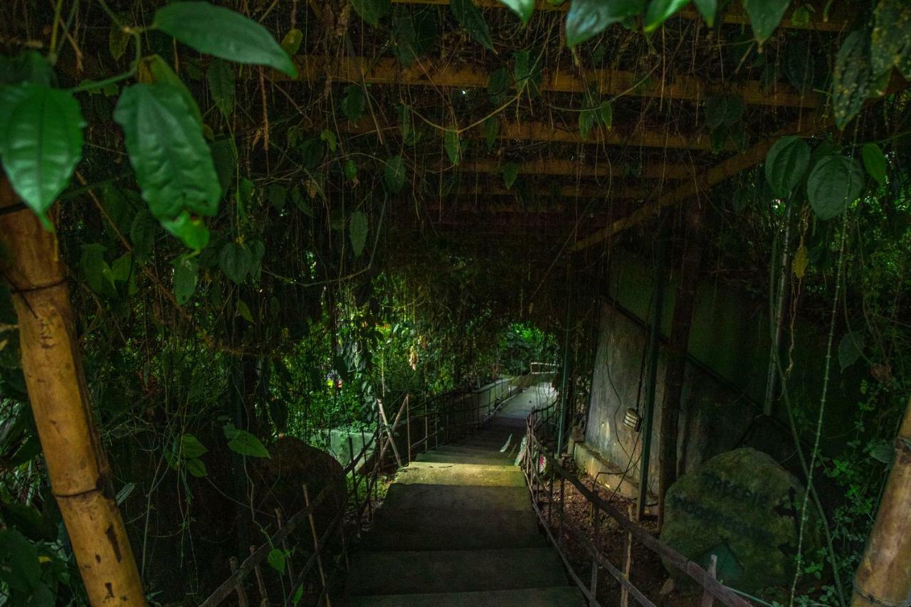 Hotel Ecotones Munnar By Eden Environs Exteriér fotografie